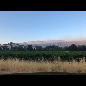 Meet your Posher, Aleah